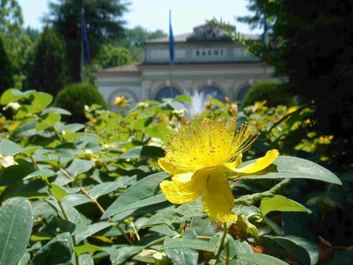 Grand Hotel Terme Riolo Terme Εξωτερικό φωτογραφία